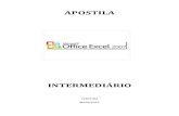 Apostila Excel 2007 (Intermedirio)