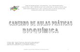 Caderno de aulas praticas de bioquimica - xa.yimg.comxa.yimg.com/.../name/Caderno+de+aulas+praticas+de+