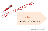 Tutorial: Consulta ndice h na "Web of Science"