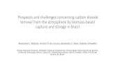 Prospects and challenges concerning carbon dioxide removal ... Prospects and challenges concerning carbon