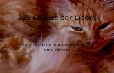 365 Cliques por C­cero