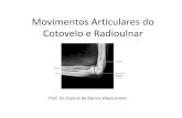 Movimentos Articulares do Cotovelo e   Articulares do Cotovelo e Radioulnar Prof. Dr. Guanis de Barros Vilela Junior . Articulao do Cotovelo