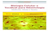 Biologia Celular Odontologia - Blog Elsevier Sa .Biologia Celular e Tecidual para Odontologia Mol©culas,