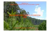 Relat³rio Florestal Estat­stico BRACELPA 2003