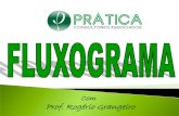 FLUXOGRAMA E PDCA PRTICA