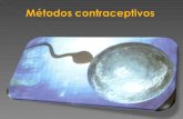 Metodos Contraceptivos [Guardado Automaticamente]