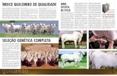 Jornal Quilombo - Abril 2005
