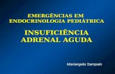 EMERGNCIAS EM ENDOCRINOLOGIA PEDITRICA INSUFICINCIA ADRENAL AGUDA Mariangela Sampaio