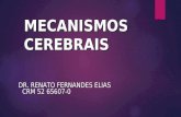 MECANISMOS CEREBRAIS