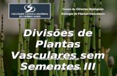 Curso de Cincias Biol³gicas Biologia de Plantas Vasculares Professor: Danilo Camargo 22 e 28 de Mar§o de 2013 Divisµes de Plantas Vasculares sem Sementes