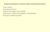 Esquizofrenia E  Estrutura Organizacional