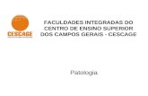 FACULDADES INTEGRADAS DO CENTRO DE ENSINO SUPERIOR DOS CAMPOS GERAIS - CESCAGE Patologia