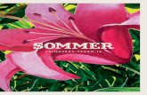 Sommer Catálogo Verão 2016