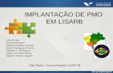 PMO EM LISARB - CONNECTION CONSULTING